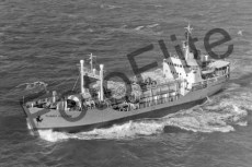BW740334.jpg