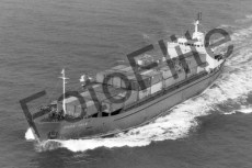 BW740709.jpg