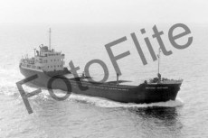 BW741108.jpg