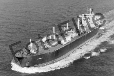 BW762794.jpg
