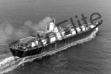 BW762837.jpg