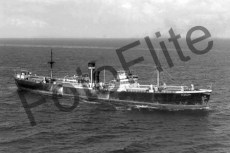 BWD593.jpg