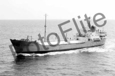 BWG873.jpg