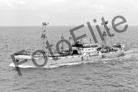 BWH228.jpg