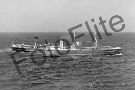 BWK557.jpg
