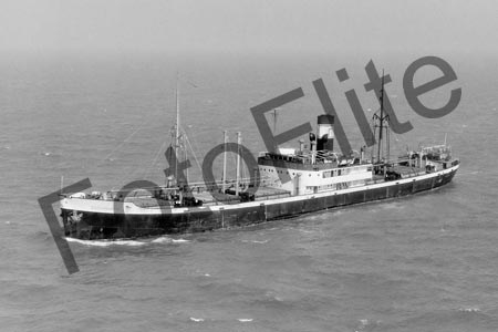 BWL596.jpg