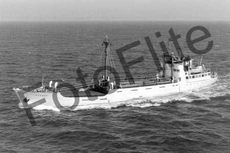 BWP698.jpg
