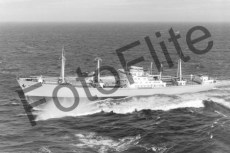 BWR283.jpg