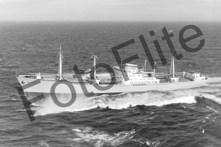 BWR283.jpg