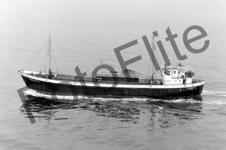 BWR884.jpg