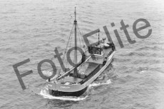 BWS638.jpg