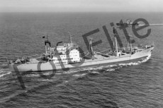 BWS724.jpg