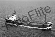 BWS828.jpg