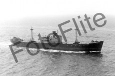 BWX53.jpg