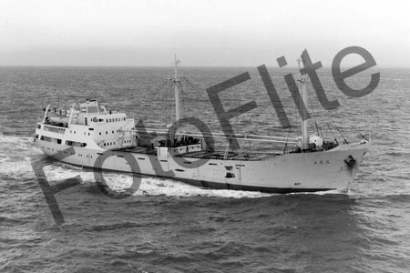 BWX5815.jpg