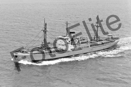 BWX7701.jpg