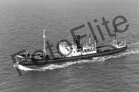 BWX7961.jpg
