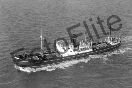 BWX7962.jpg