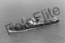 BWX8377.jpg