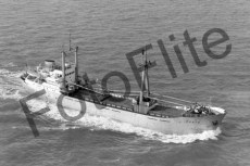 BWX8409.jpg