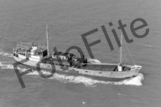 BWX8528.jpg