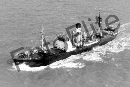 BWX8558.jpg