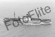 BWX8870.jpg