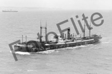 BWX8882.jpg