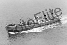 BWX8938.jpg