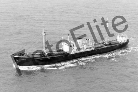 BWX8952.jpg
