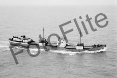 BWX8958.jpg