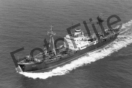 BWX9029.jpg