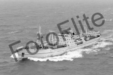BWX9036.jpg