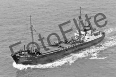 BWX9055.jpg