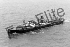 BWX9058.jpg