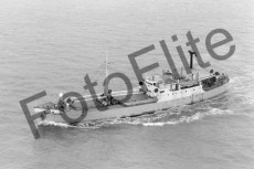 BWX9065.jpg