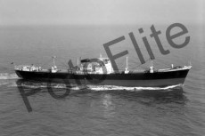 BWX9075.jpg