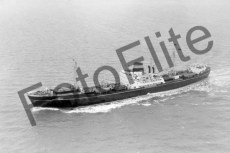 BWX9086.jpg