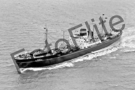 BWX9088.jpg
