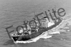 BWX9125.jpg