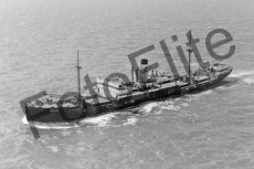 BWX9127.jpg