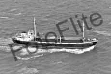 BWX9145.jpg