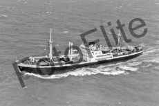 BWX9146.jpg