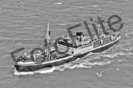 BWX9152.jpg