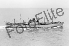 BWX9164.jpg