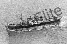 BWX9171.jpg