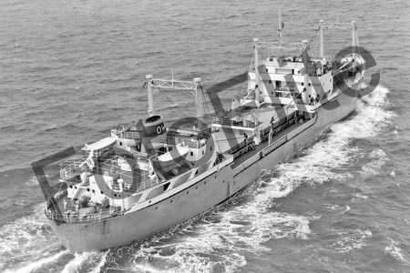 BWX9194.jpg
