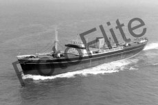 BWX9301.jpg