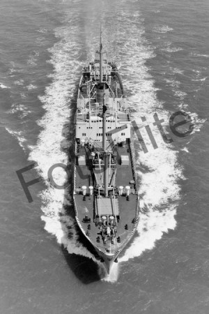 BWX9382.jpg