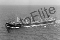 BWX9411.jpg